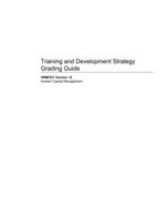 training and development strategy grading guide hr