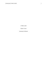 term paper: a public leader