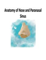 Anatomy of the nose and its structural adaptation