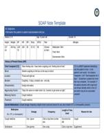 NR 509 Pediatric SOAP Note Advanced Physical Assessment