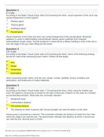 NR 509 Quiz 2 Advanced Physical Assessment -According to the Bates’ Visual Guide video