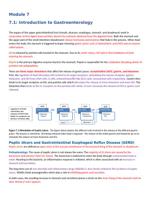 NURS 251 -Module 7 Study Guide PHARMACOLOGY