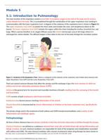 NURS 251 -Module 5 Study Guide PHARMACOLOGY