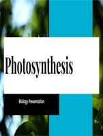 Biology: Presentation on Photosynthesis