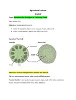 Agriculture: Xylem and Phloem Veins