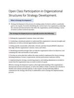 Organizational Structures for Strategy Development