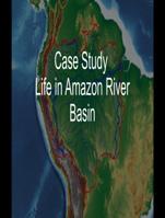 Case Study on Life in the Amazon Basin