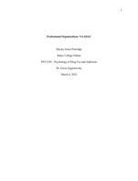 Professional Organizations Essay