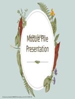 MBA 687 Module Five Presentation - SHNU