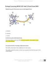 BIOD 152 A&P 2 Final Exam 2022 - Portage Learning