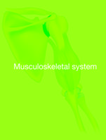 PRESENTATION- Musculoskeletal System