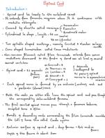 Comprehensive Exam Notes on Physiology And Anatomy- Spinal Cord Notes