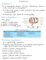 EXAM NOTES ON PHYSIOLOGY AND ANATOMY; Hypothalamus