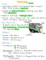 Exam Preparation Notes On Pituitary Gland