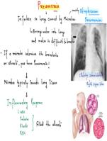 Exam Review Notes on Pneumonia