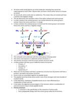 Protein structure and function notes.