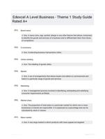 Edexcel A Level Business - Theme 1 Study Guide Rated A+