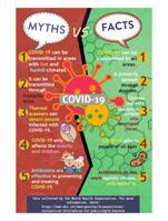 Covid-19 Facts or Myths Infographics (PNG)