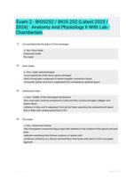 Exam 2 - BIOS252 / BIOS 252 (Latest 2023 / 2024) : Anatomy And Physiology II With Lab - Chamberlain