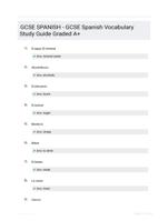 GCSE SPANISH - GCSE Spanish Vocabulary Study Guide Graded A+