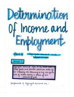 Determination of Income and Employment Handwritten Notes