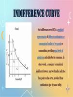 Indifference Curve notes in ppt for any class