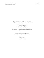 BUS 610 Organizational Culture Analysis